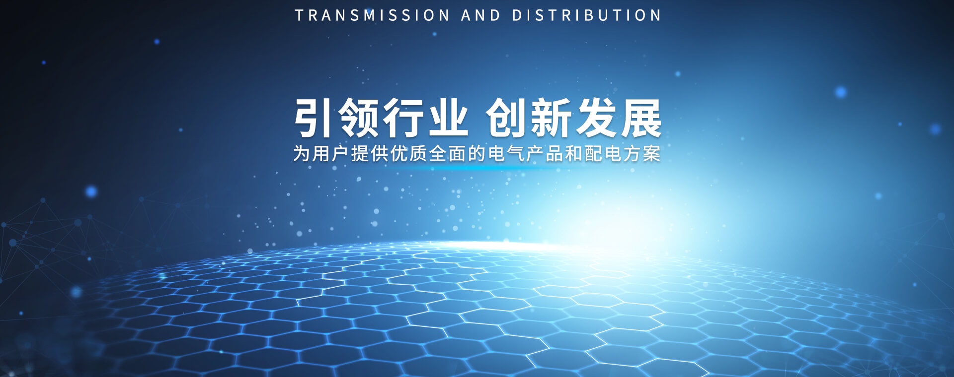 浙江領新電氣有限公司